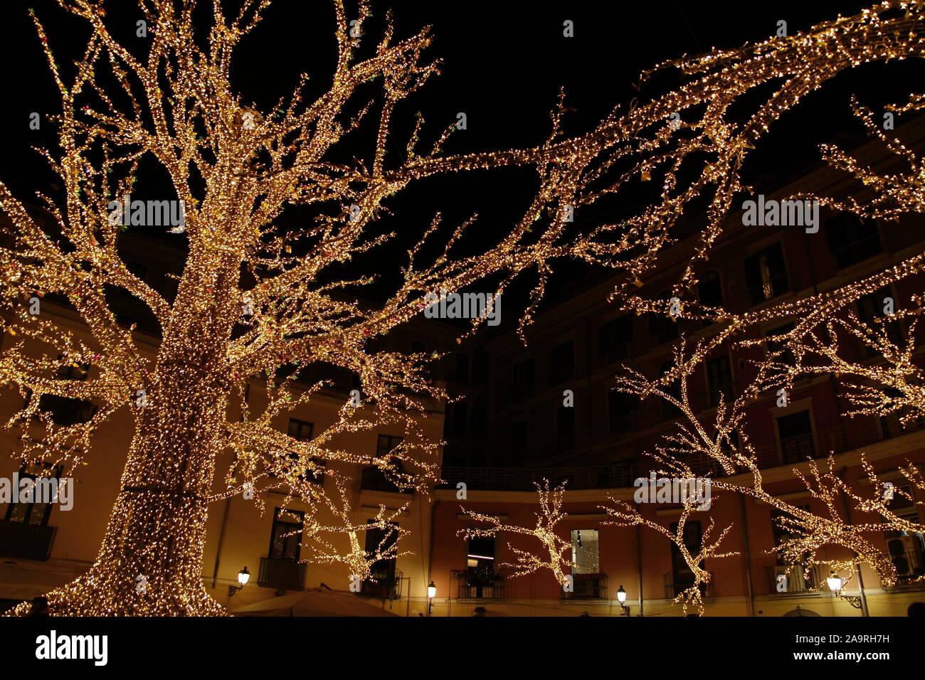 tree full of lights in the square Stock Photo - Alamy