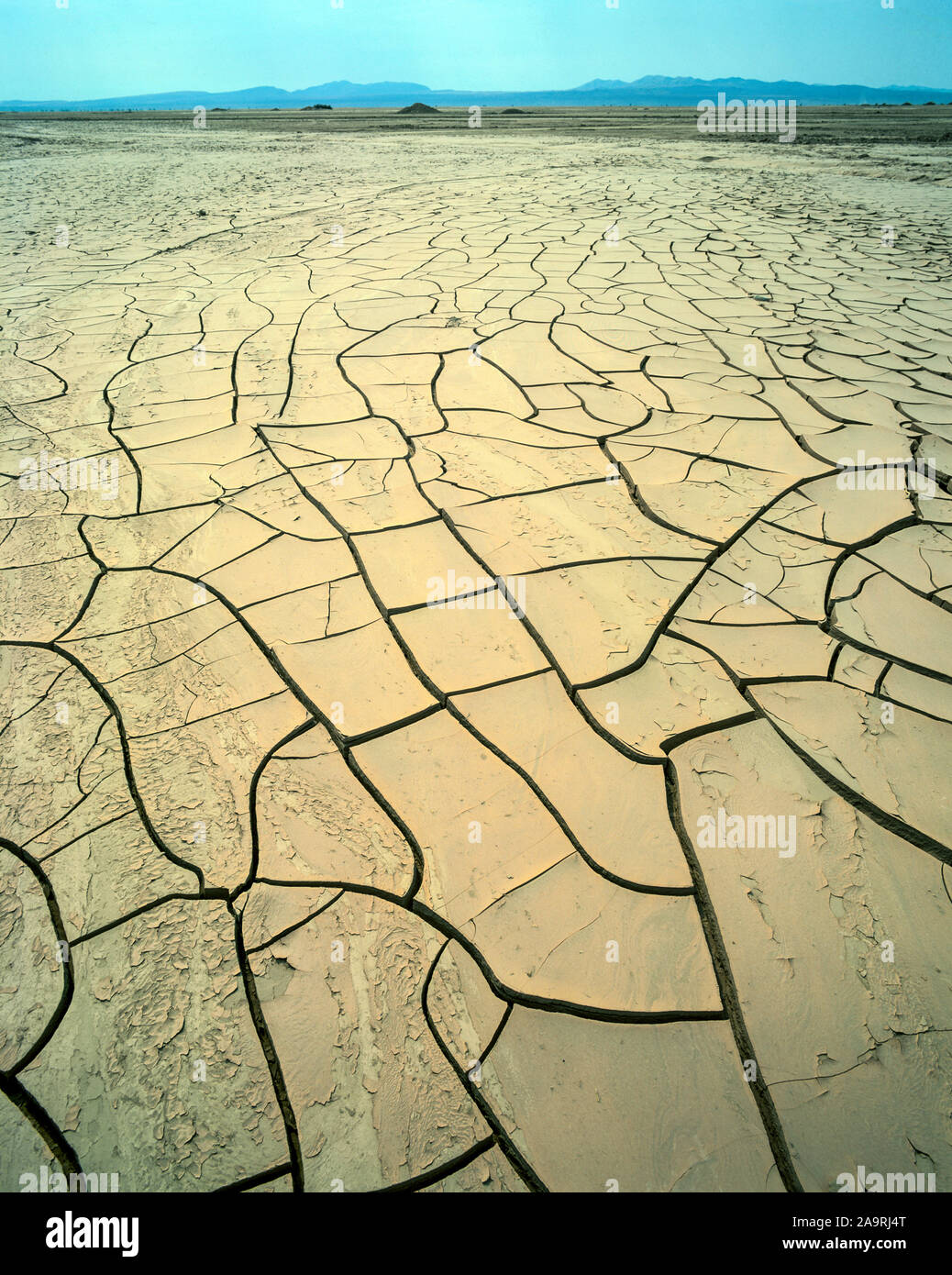 Desert pattern, Pampa De Tamarugal, Atacama Desert, Chile,  World's driest desert Stock Photo