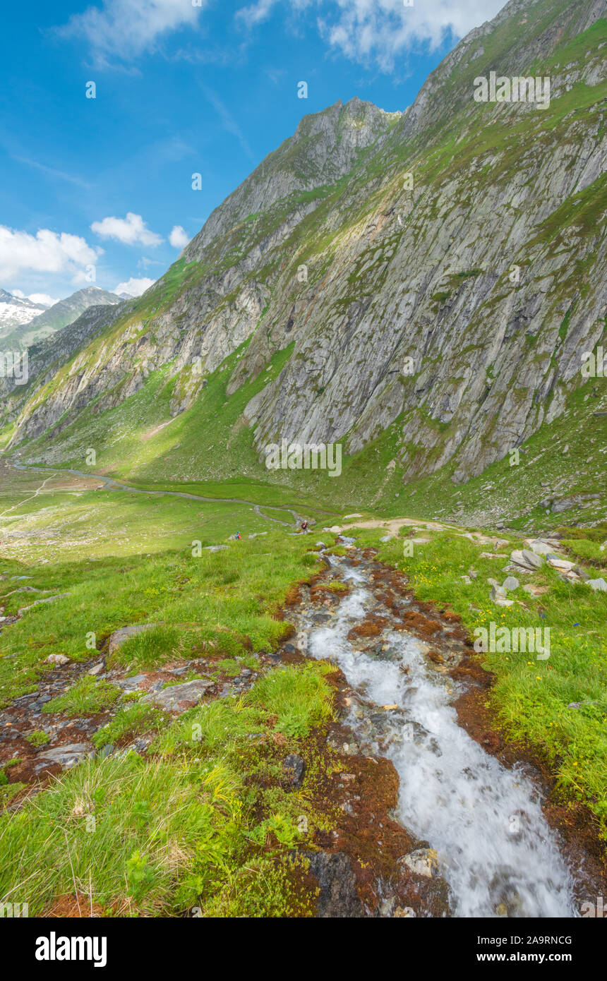 Glacial creek flowing down a glacially-carved valley. Lush mountain valley during summer wildflower bloom. Gushing stream and mountain run-off. Stock Photo