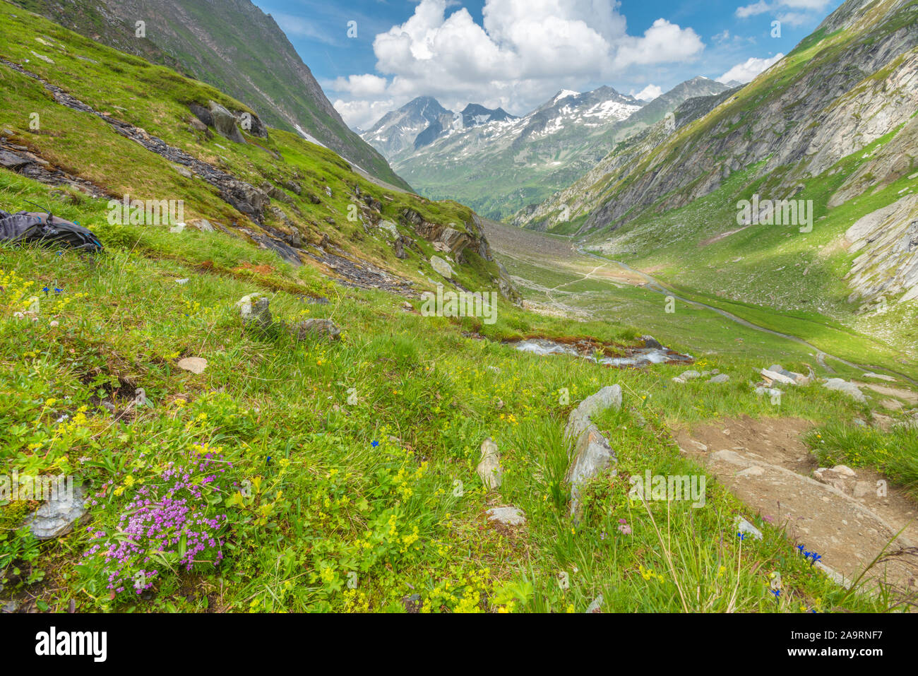 Glacial creek flowing down a glacially-carved valley. Lush mountain valley during summer wildflower bloom. Gushing stream and mountain run-off. Stock Photo