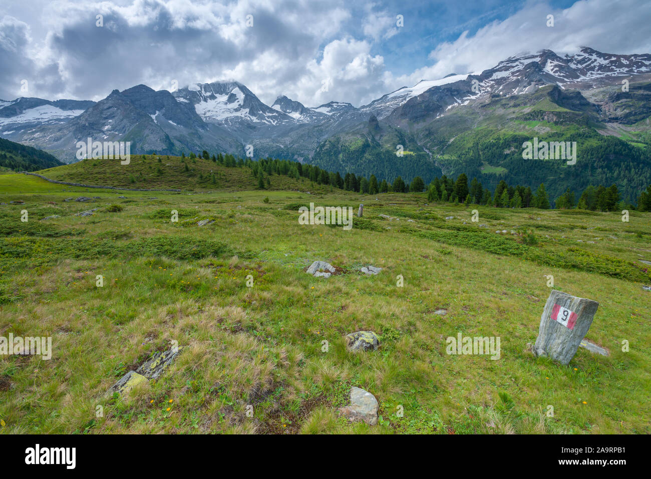 Alpine meadows and forest below snowcapped mountain range. Trail marker, sign post for summer hiking trail in the Alps. Stock Photo