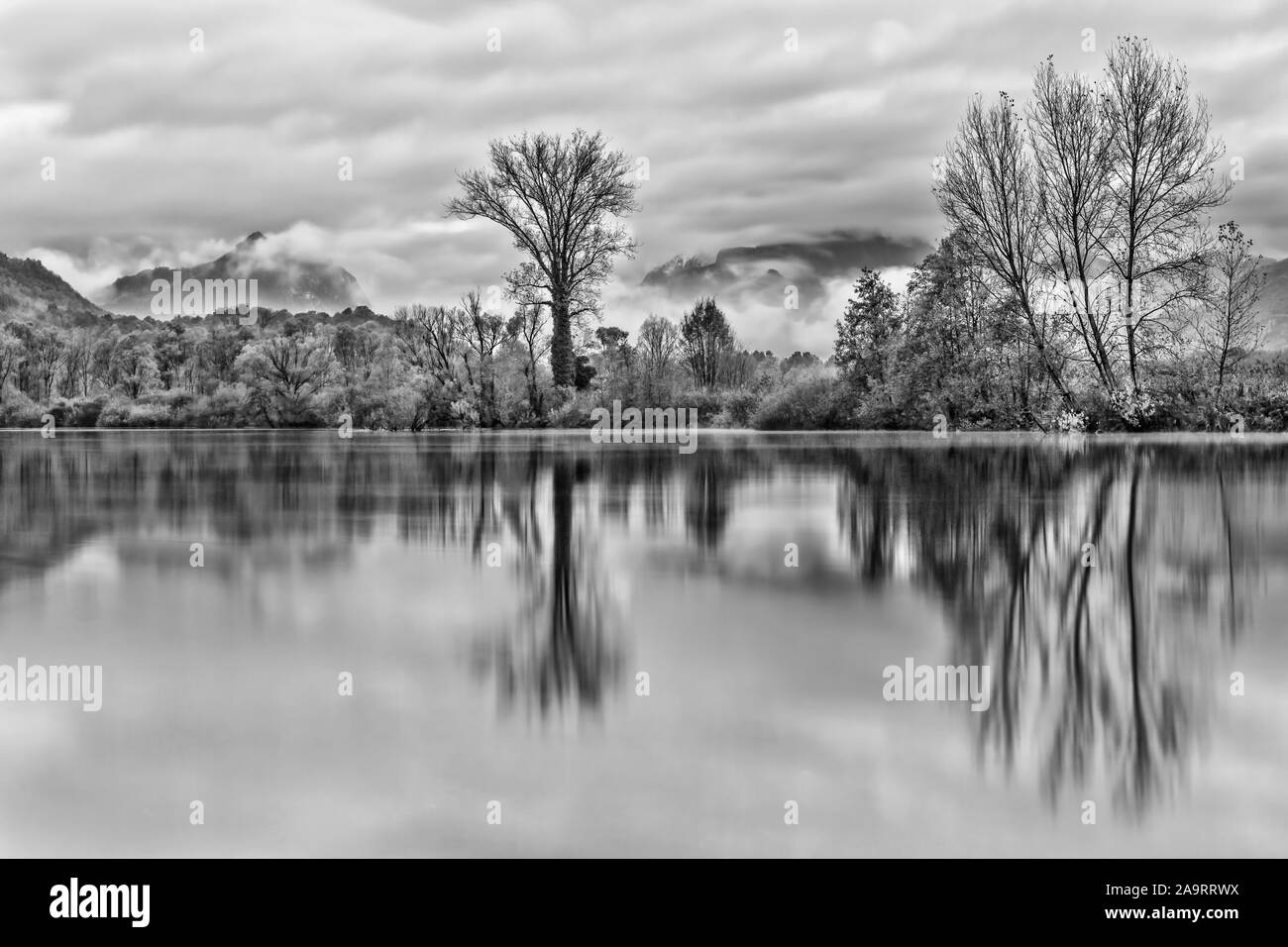 Reflections trees in the lake Stock Photo - Alamy