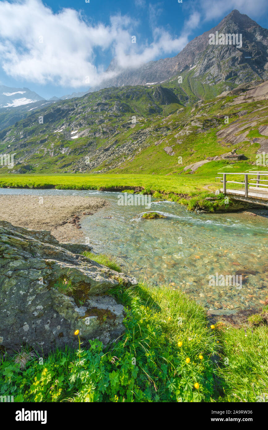 Lush alpine valley with glacial stream flowing from the melting ice and snow of the surrounding mountains. Wooden bridge over mountain creek. Stock Photo