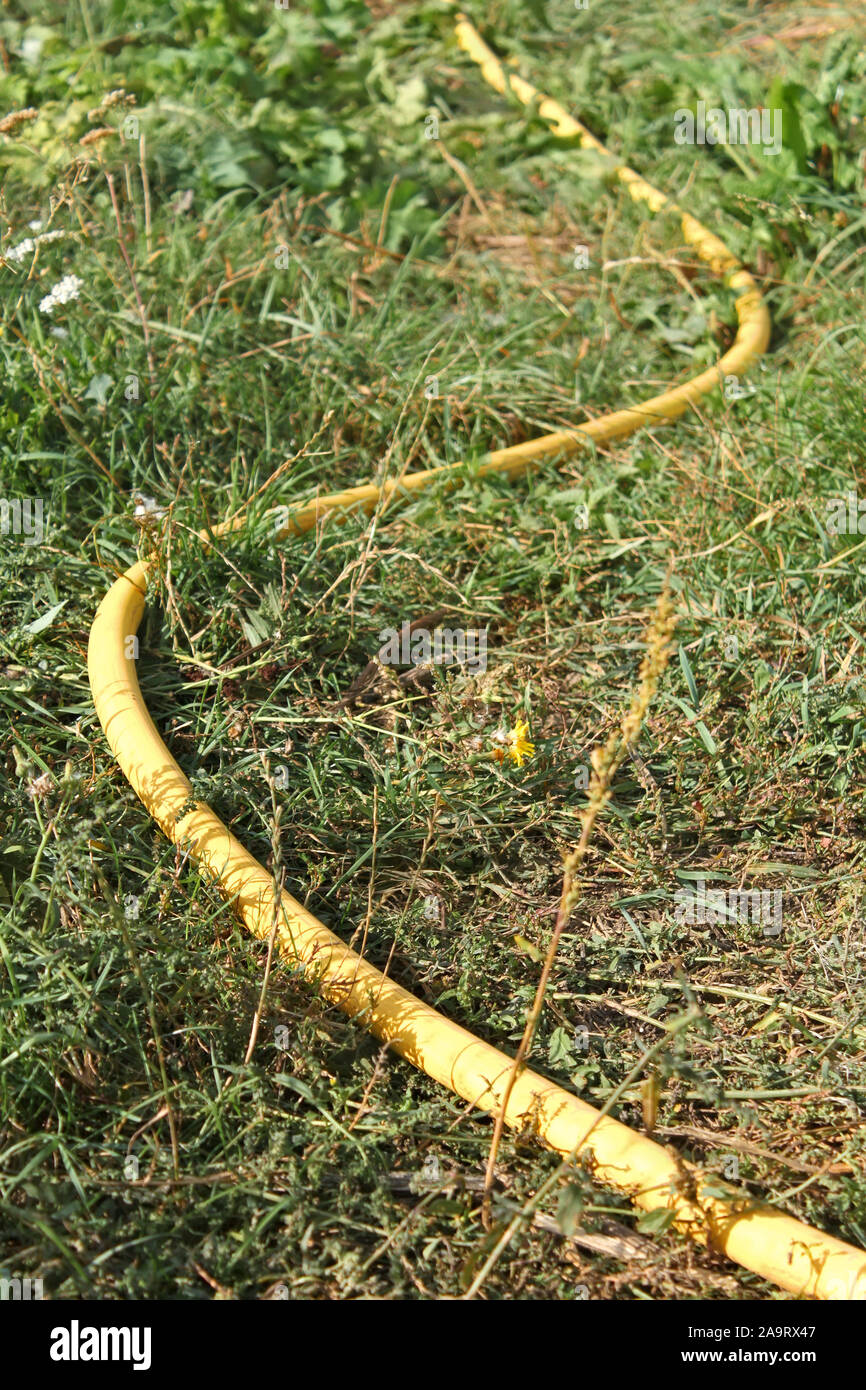 Bent yellow plastic watering hose lying in the grass in bright sunlight Stock Photo