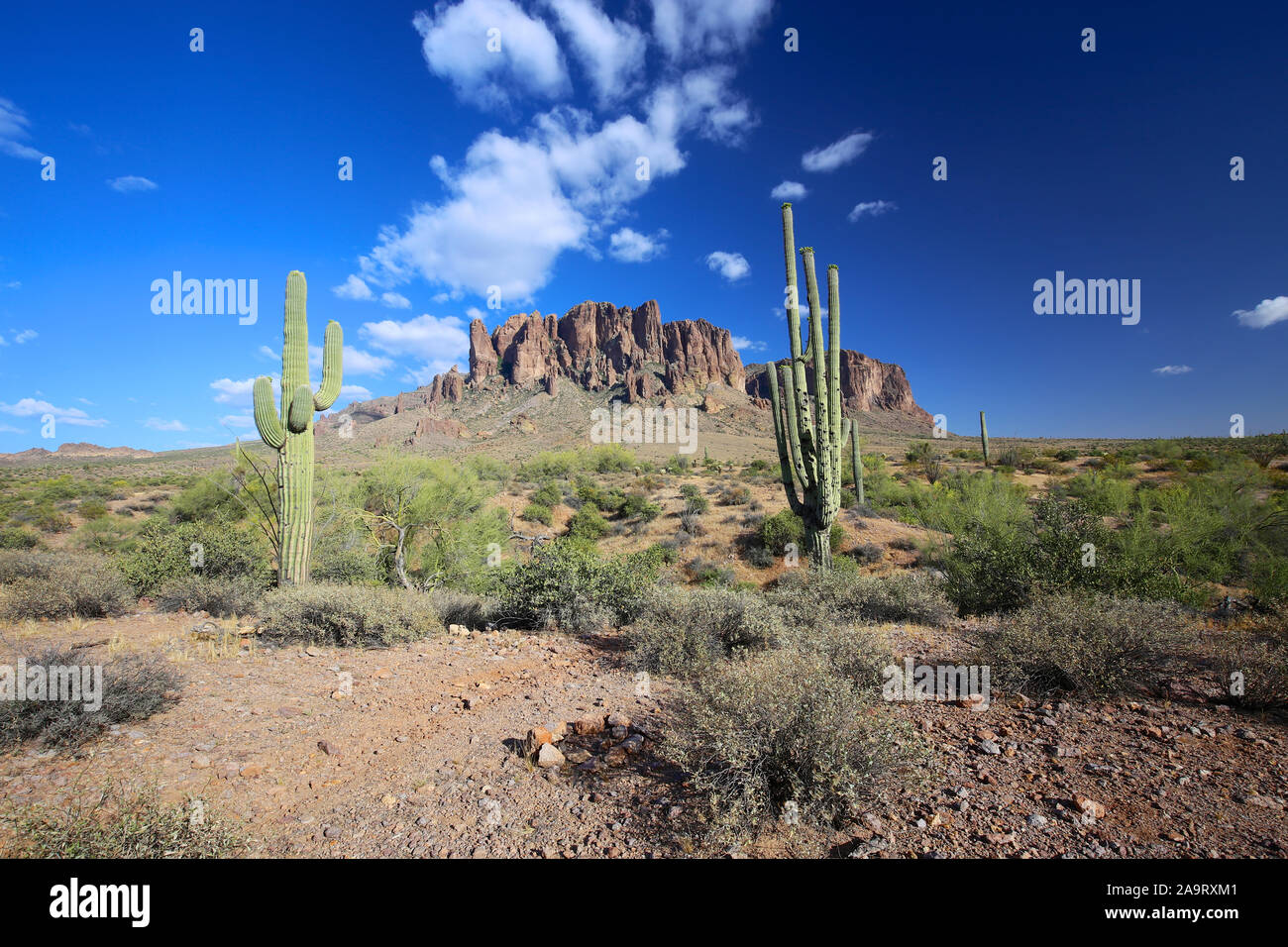 Superstition Mountains and cactus desert landscape in Lost Dutchman State Park, Arizona Stock Photo