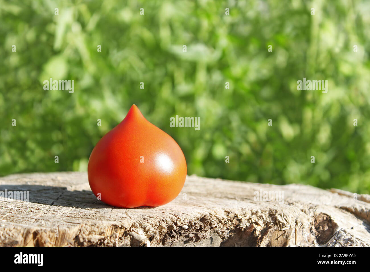 Red tomato on the horizontal surface of old stump Stock Photo - Alamy
