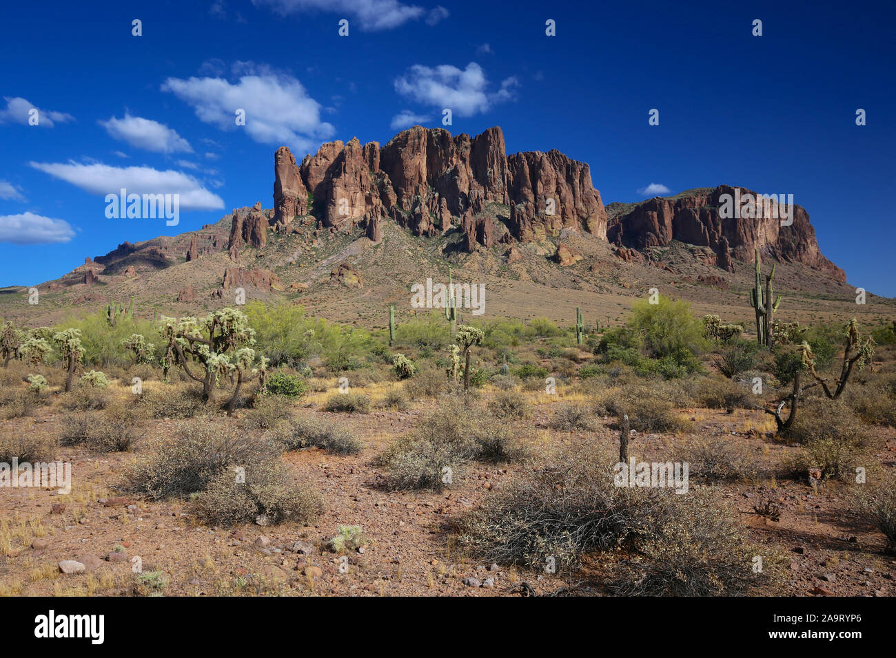 Superstition Mountains and cactus desert landscape in Lost Dutchman State Park, Arizona Stock Photo