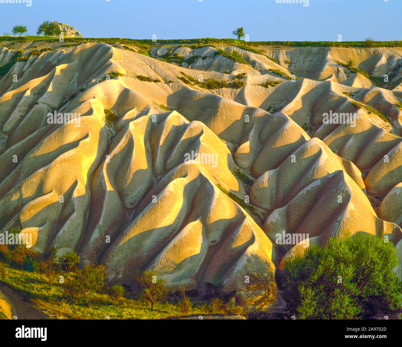 Tufaceous rock formations, Goreme National Park, Turkey, Cappadocia Region,, Volcanic deposit near Uchisar Stock Photo