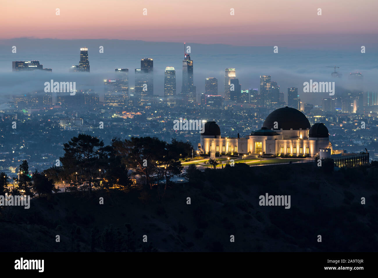 Los Angeles, California, USA - November 10, 2019:  Foggy morning dawn view of Griffith Park Observatory. with downtown Los Angeles skyline in backgrou Stock Photo