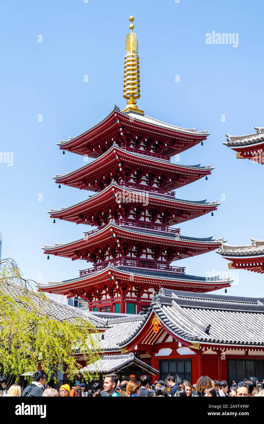 bifald Brig Gør det tungt Tokyo, The popular Asakusa shrine and Sensoji temple. The five story  Pagoda, second largest in Japan. Daytime scene with clear blue sky Stock  Photo - Alamy