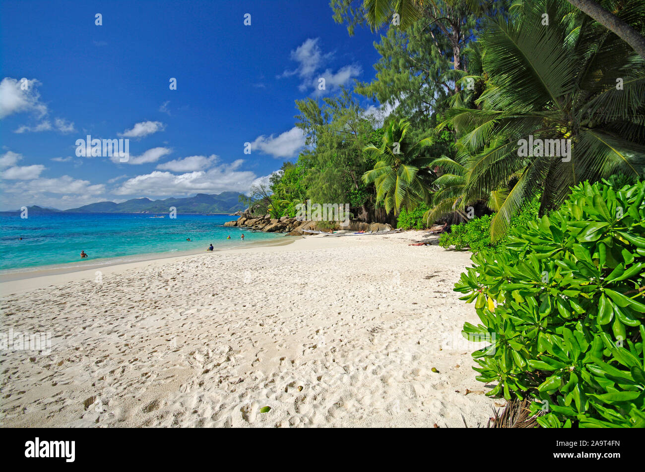 Paradiesischer Sandstrand mit Palmen und Granitfelsen an der Carana Bay, Mahe, Seychellen Stock Photo