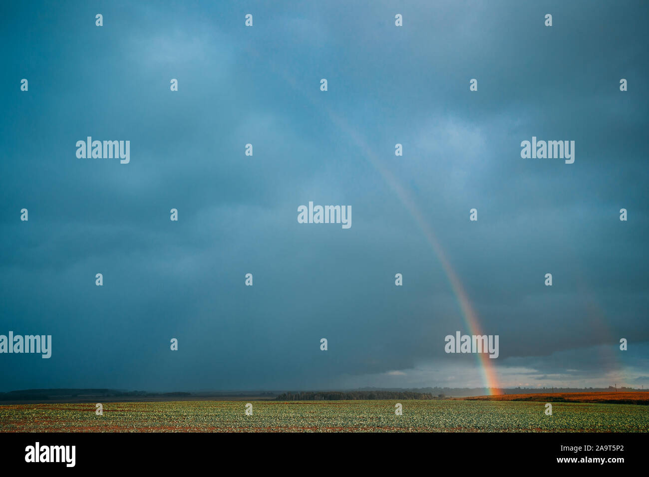Rainbow In Countryside Rural Field Meadow Landscape. Agricultural