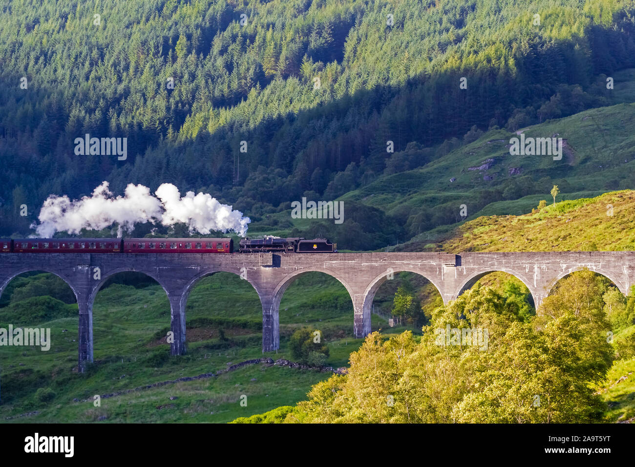 England, Schottland, Transport, Technik, Nostalgie, Zug, Dampfross, The Jacobite, Viadukt, Schottland, Glenfinnan, Eisenbahn, Stock Photo