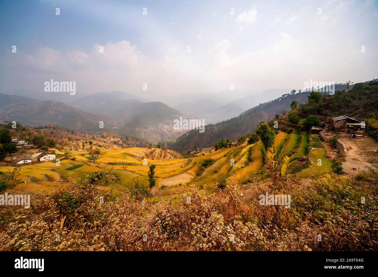 Terraced fields at Chamoli Village, Kumaon Hills, Uttarakhand, India Stock Photo
