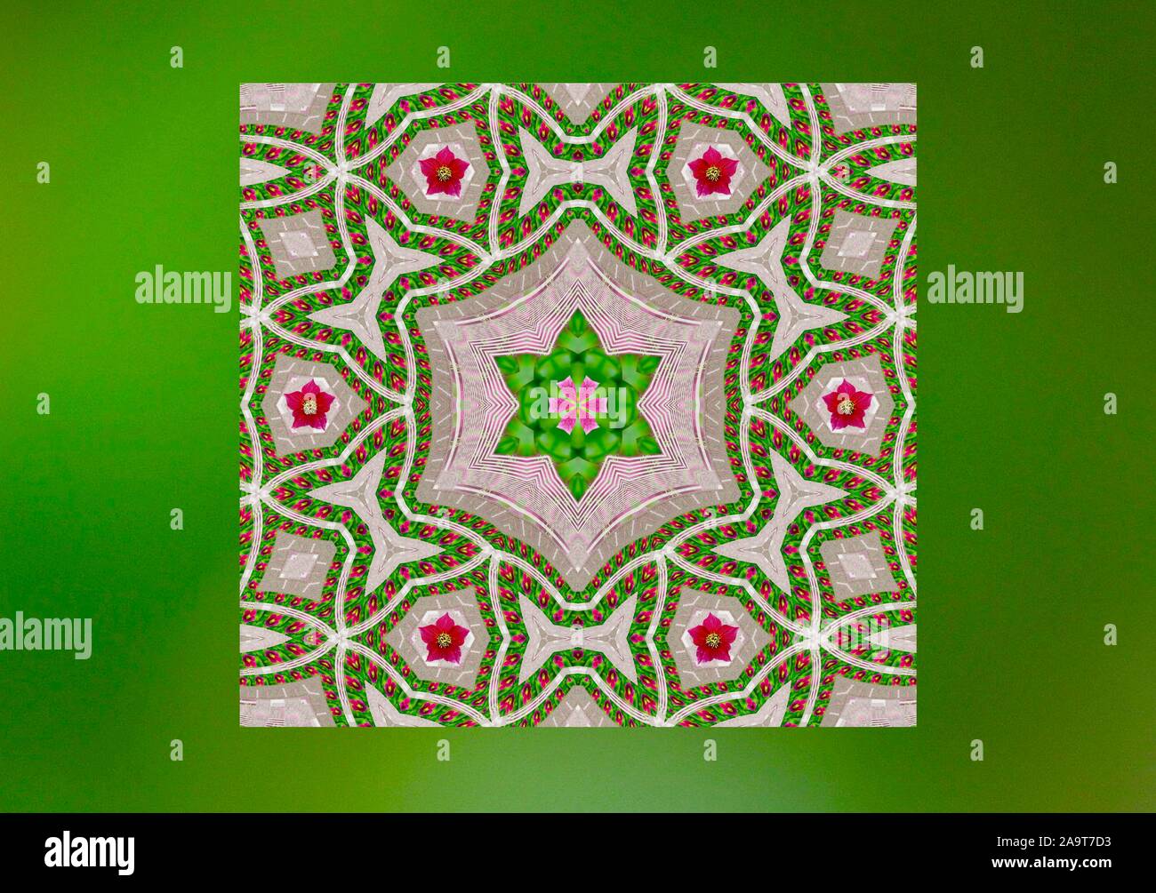 Green Star Christmas Rose Mandala Stock Photo