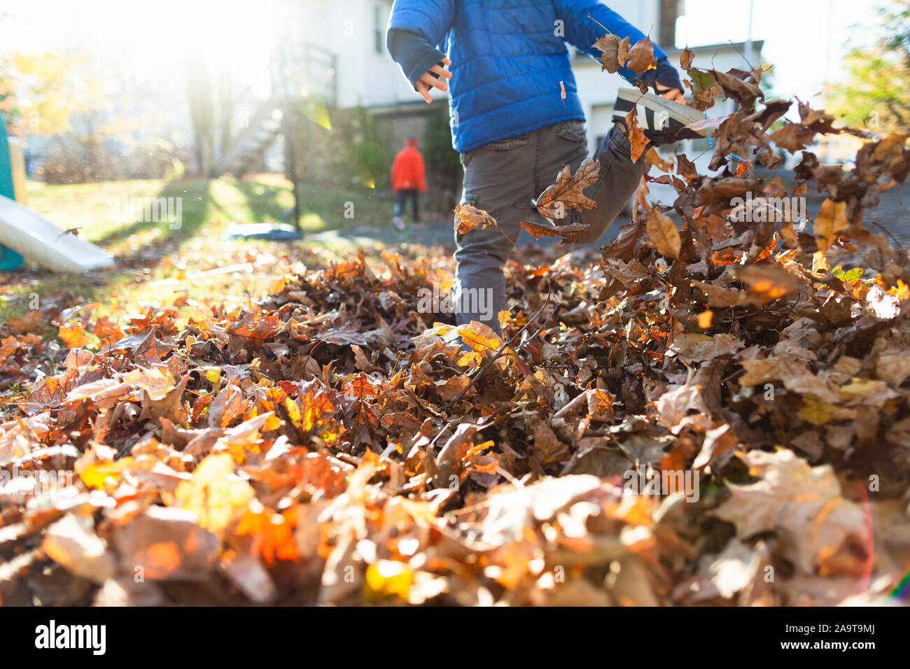 Child kicks leg up in a pile of leaves outside in yard during Autumn Stock Photo