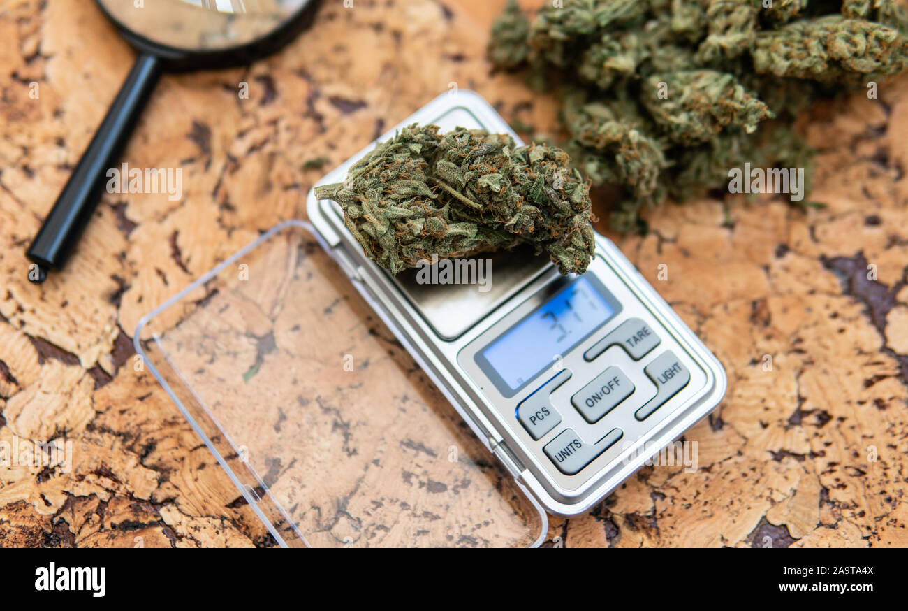 Premium Photo  Bud of marijuana on a jewelry scales