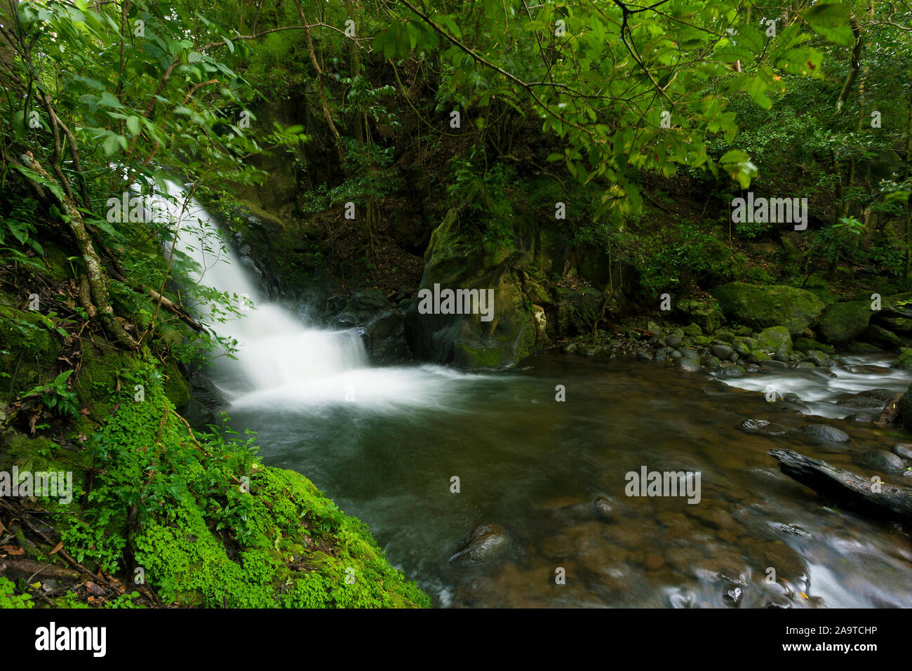 Morpho cascade, Rincon de la vieja national park, Guanacaste, Costa Rica Stock Photo