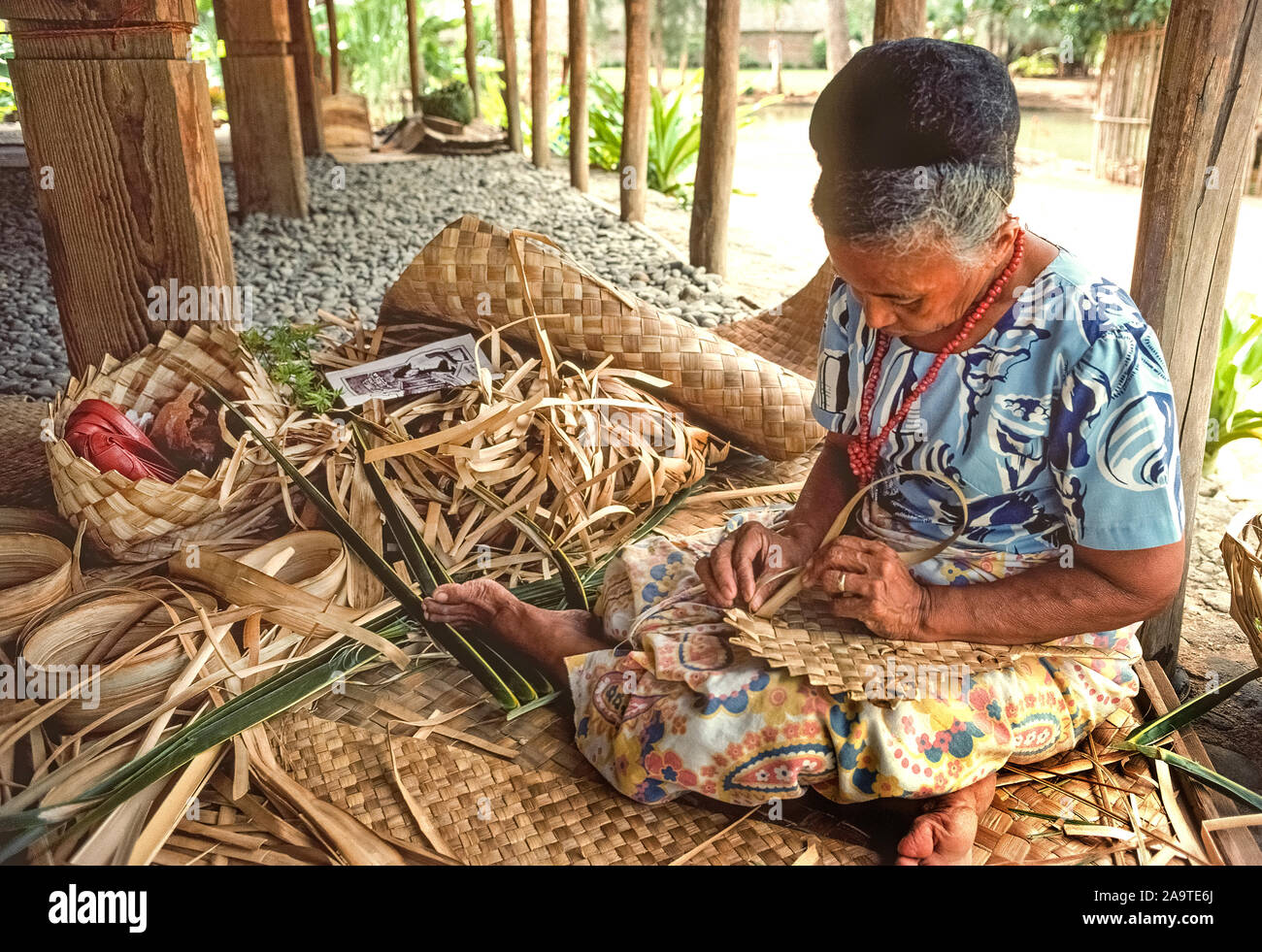 A Hawaiian woman weaves a small hand fan from the dried leaves (fronds) of a palm tree at the Polynesian Cultural Center on the northern shore of Oahu, one of the eight major islands in the Pacific Ocean that are part of the tropical state of Hawaii, USA. Other such handicrafts she makes include baskets, and large mats like the one she is sitting on. One foot rests on long and thin fresh green palm fronds that have yet to dry out prior to weaving them. Stock Photo