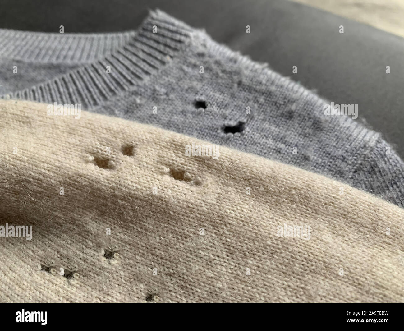 Two expensive cashmere sweaters with holes and damaged, caused by cloth moths (Tineola bisselliella). Selective focus Stock Photo