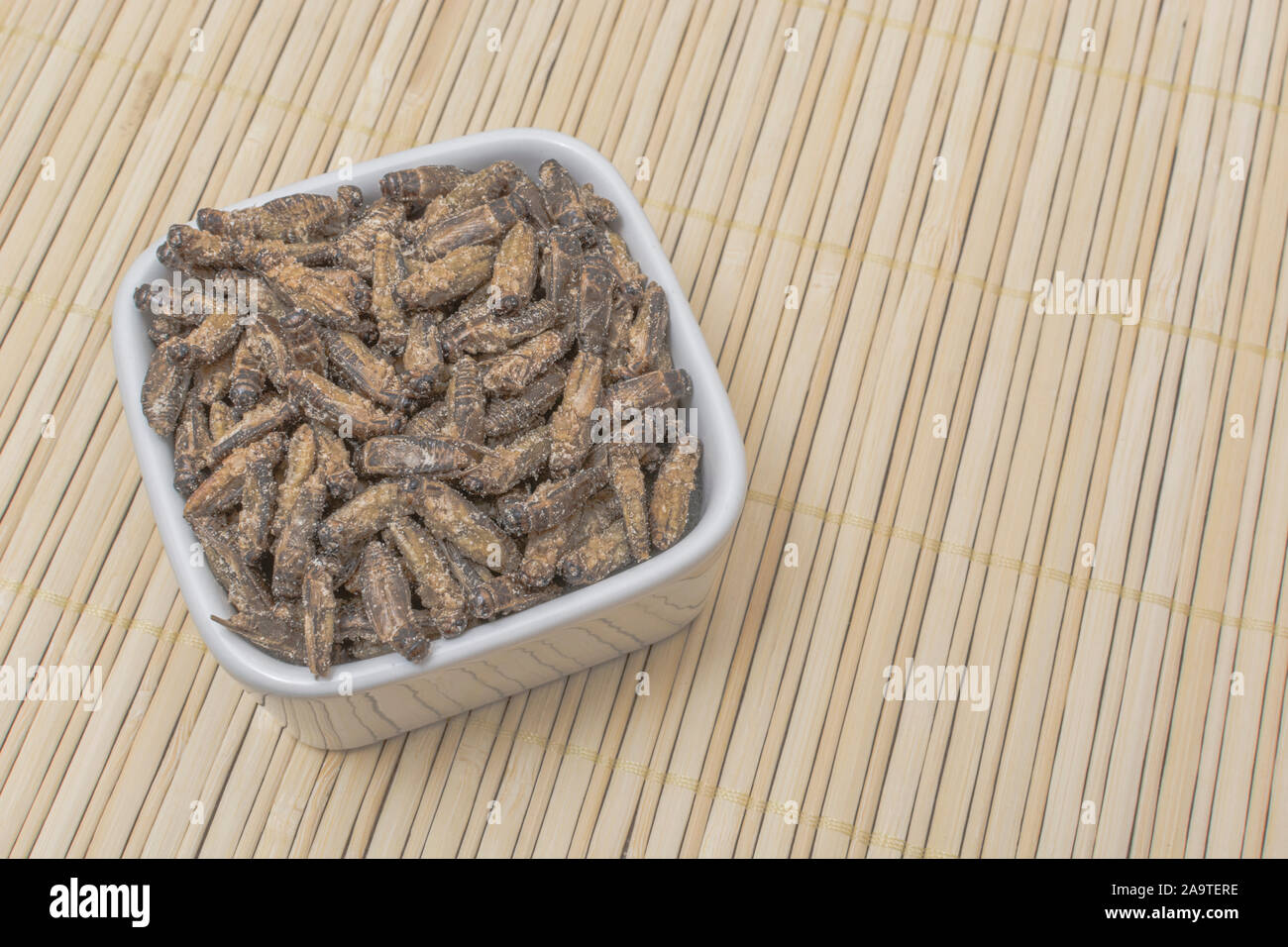 Edible insects - salted Small Crickets possibly Gryllus assimilis - on bamboo mat. Entomophagy, edible bugs, insect superfoods, insects as novel foods Stock Photo