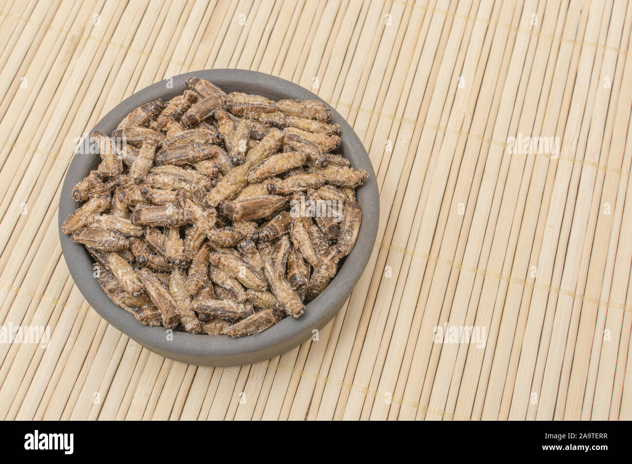 Edible insects - salted Small Crickets possibly Gryllus assimilis - on bamboo mat. Entomophagy, edible bugs, insect superfoods, insects as novel foods Stock Photo