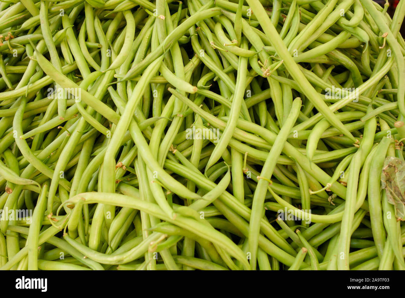 Raw fibre piles hires stock photography and images Alamy