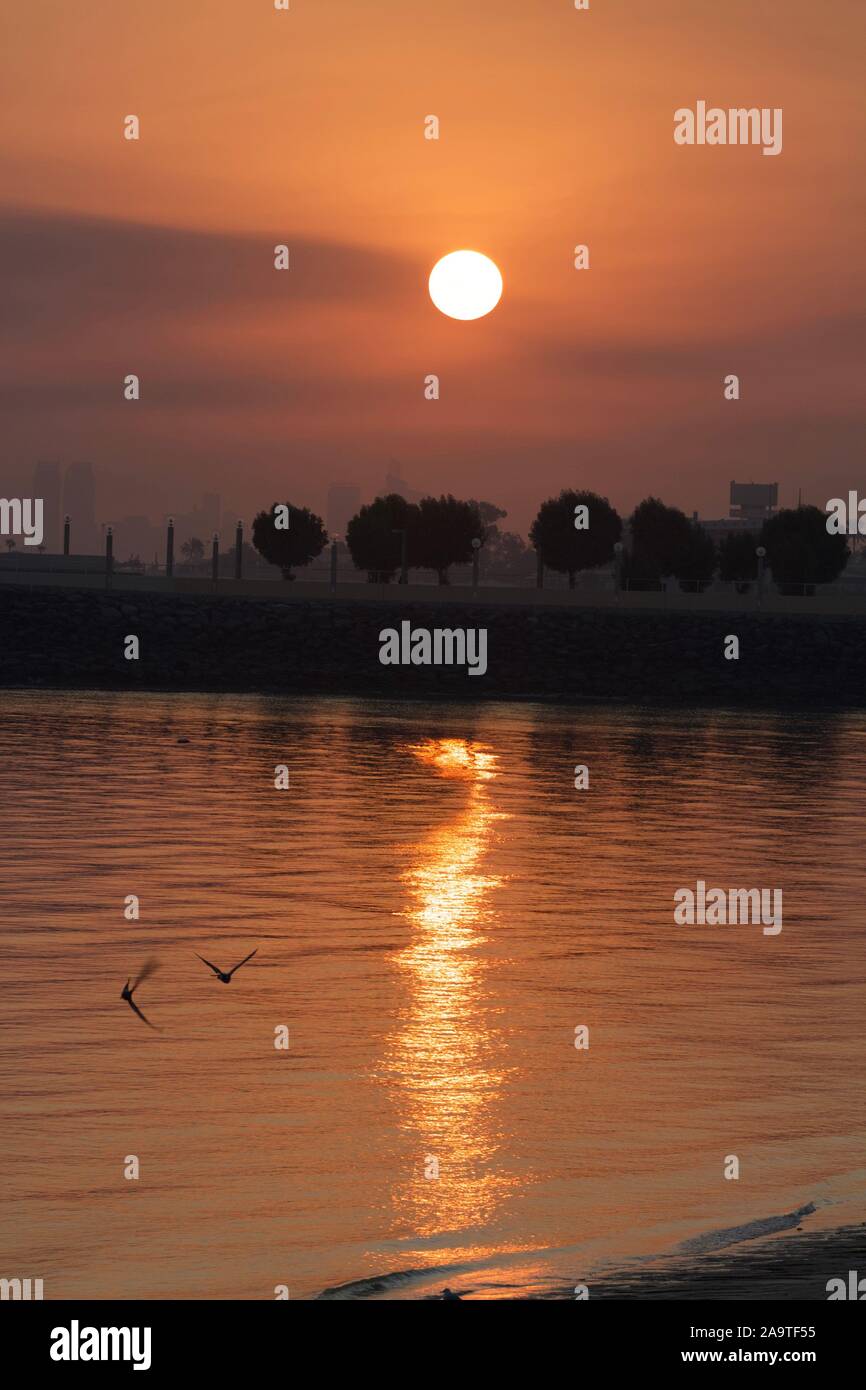the rising sun Stock Photo - Alamy