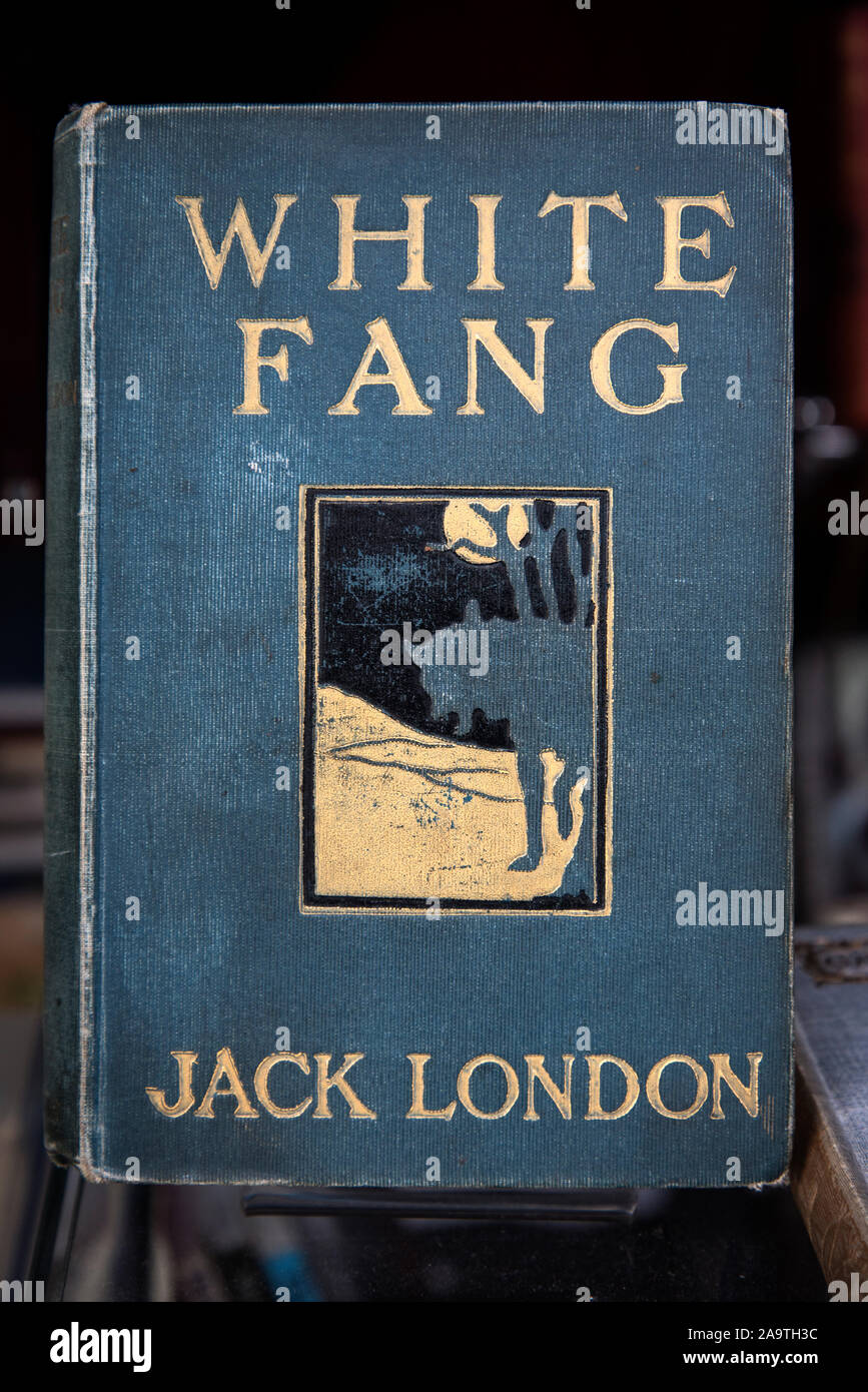 Vintage copy of White Fang by Jack London on display in an Edinburgh secondhand bookshop. Stock Photo