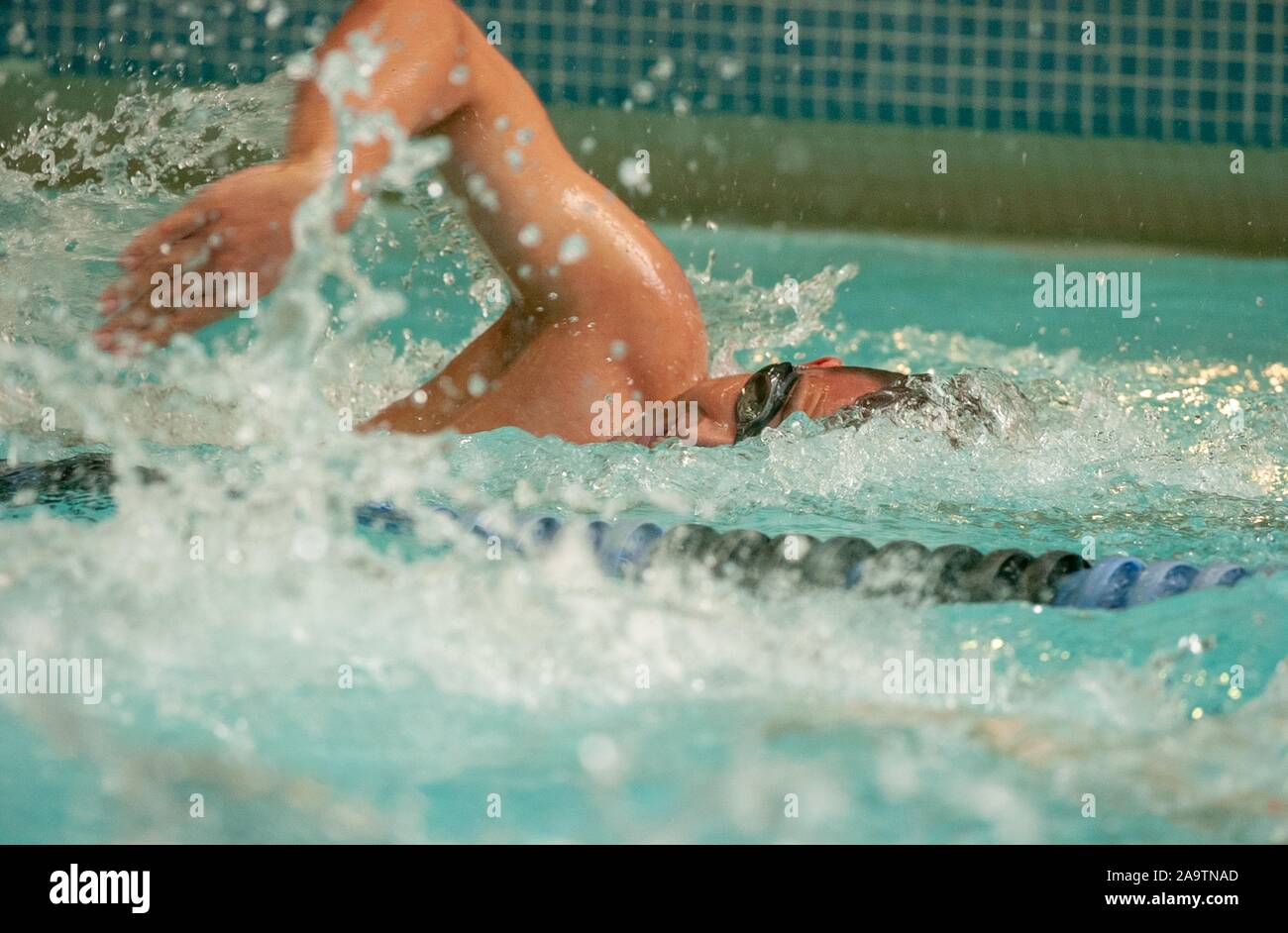 Obscured profile shot of a Johns Hopkins University Men's Swim team member, from the chest up, moving through the water while performing a sidestroke, January 14, 2005. From the Homewood Photography Collection. () Stock Photo