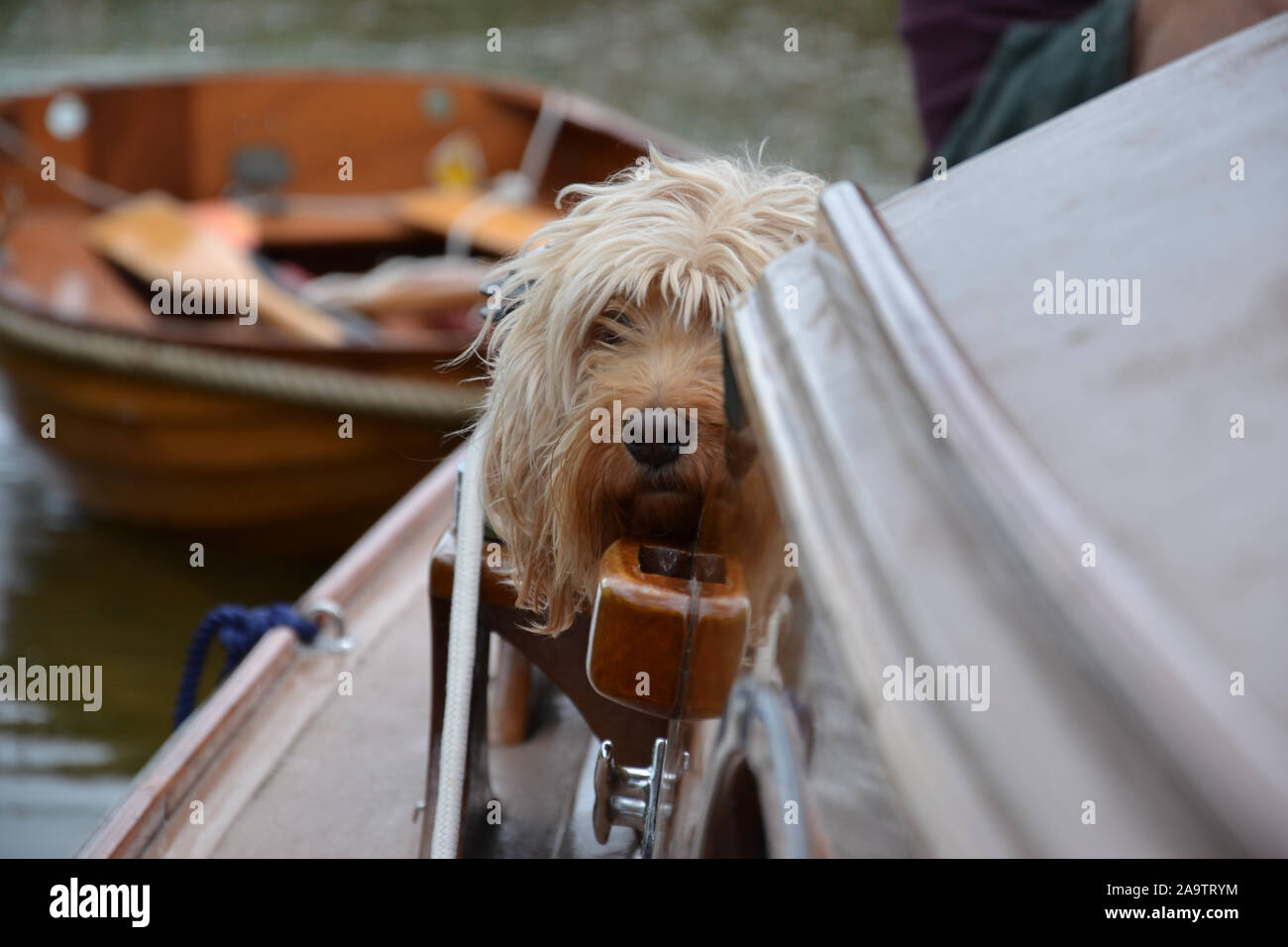 Messy cabin hi-res stock photography and images - Alamy