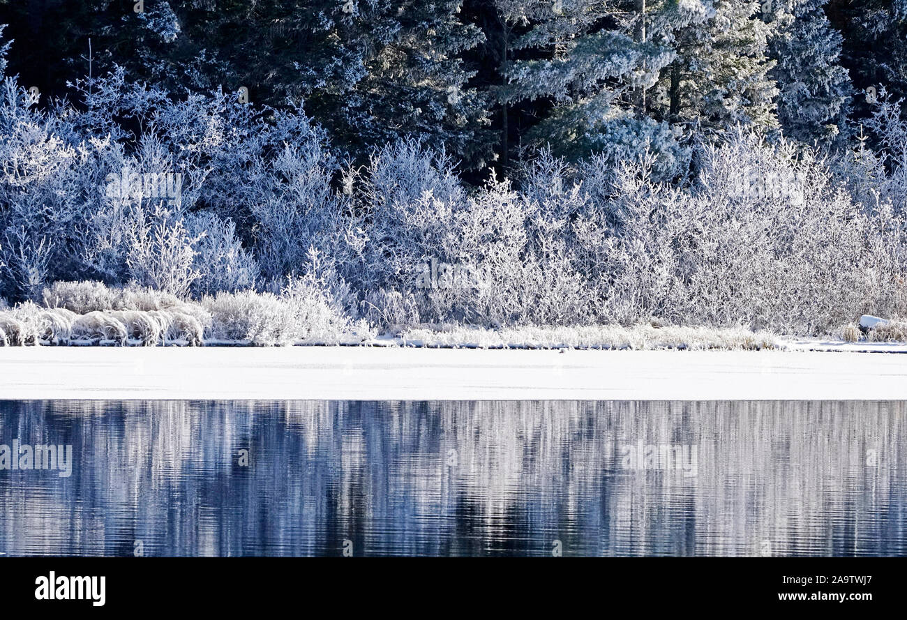 Algonquin Provincial Park landscape with layers of vegetation and frost reflections on half frozen lake on a beautiful winter day Stock Photo