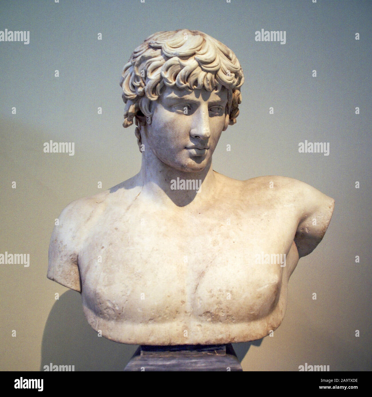 Ancient bust or head of a male statue, Antinous National