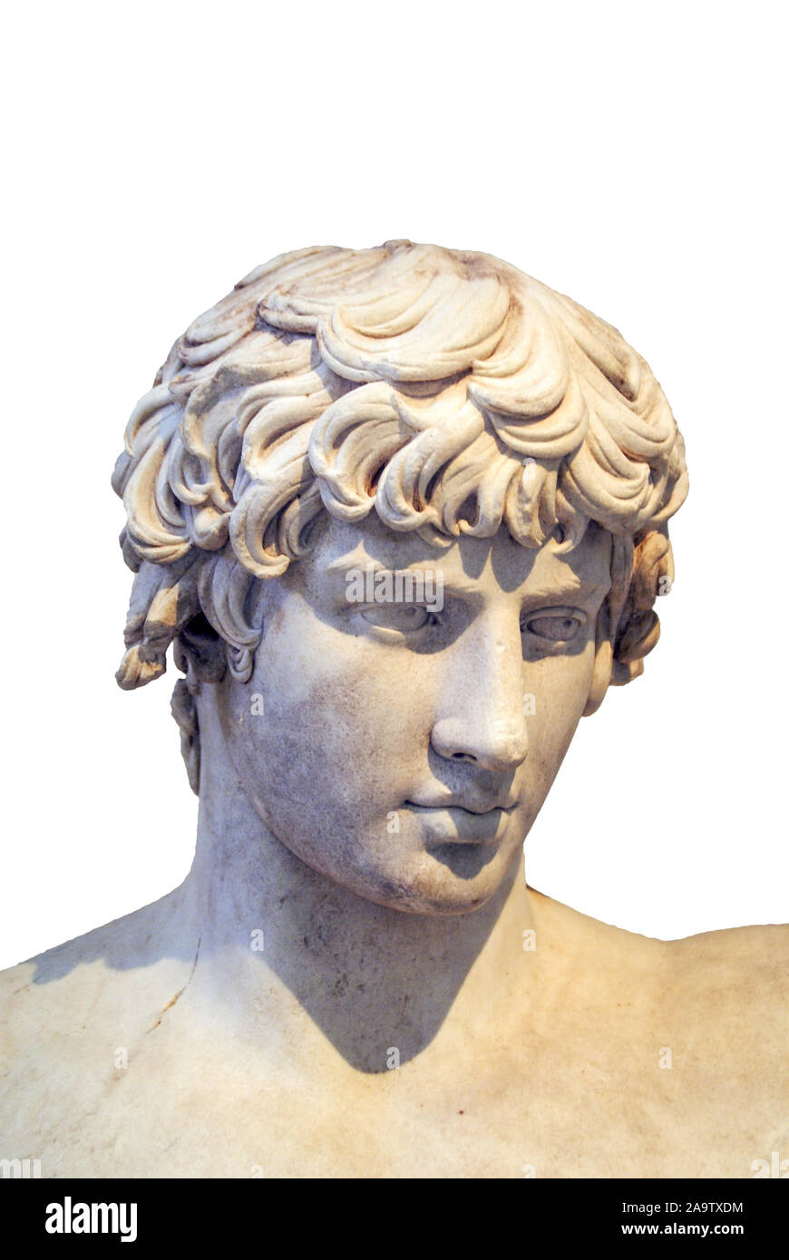 Ancient bust or head of a male statue, Antinous National