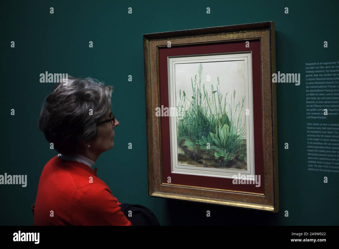 Great piece of turf albrecht dürer hires stock photography and images