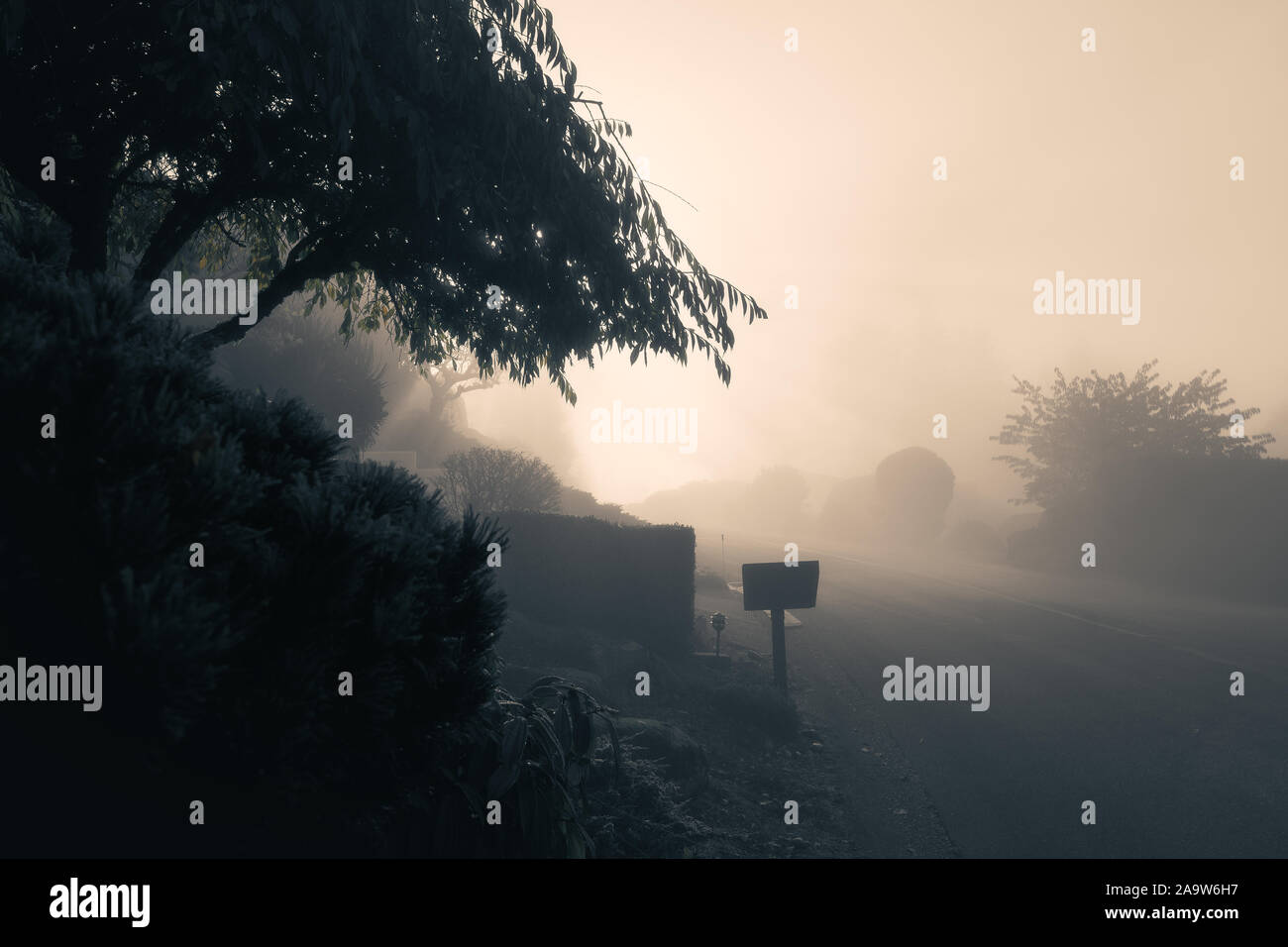 Ethereal Morning Light Pierces Through Misty Autumn Morning Stock Photo