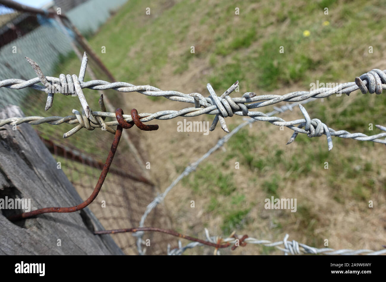 Twisted barbed wire fence Stock Photo Alamy