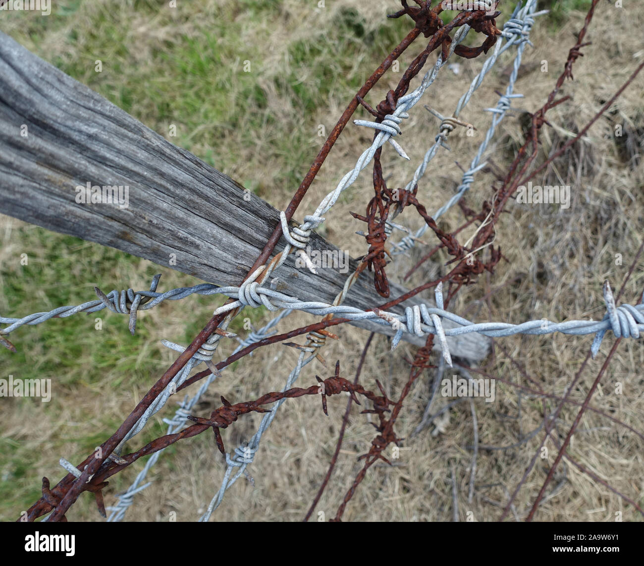 Barbed wire and rusty wire Stock Photo Alamy