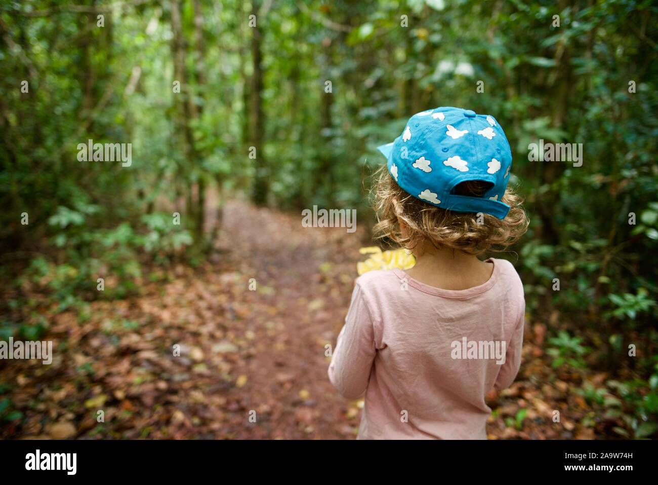 School age children walking on a forest path, Honeyeater lookout hiking trail, Conway national park, Airlie Beach, Queensland, Australia Stock Photo