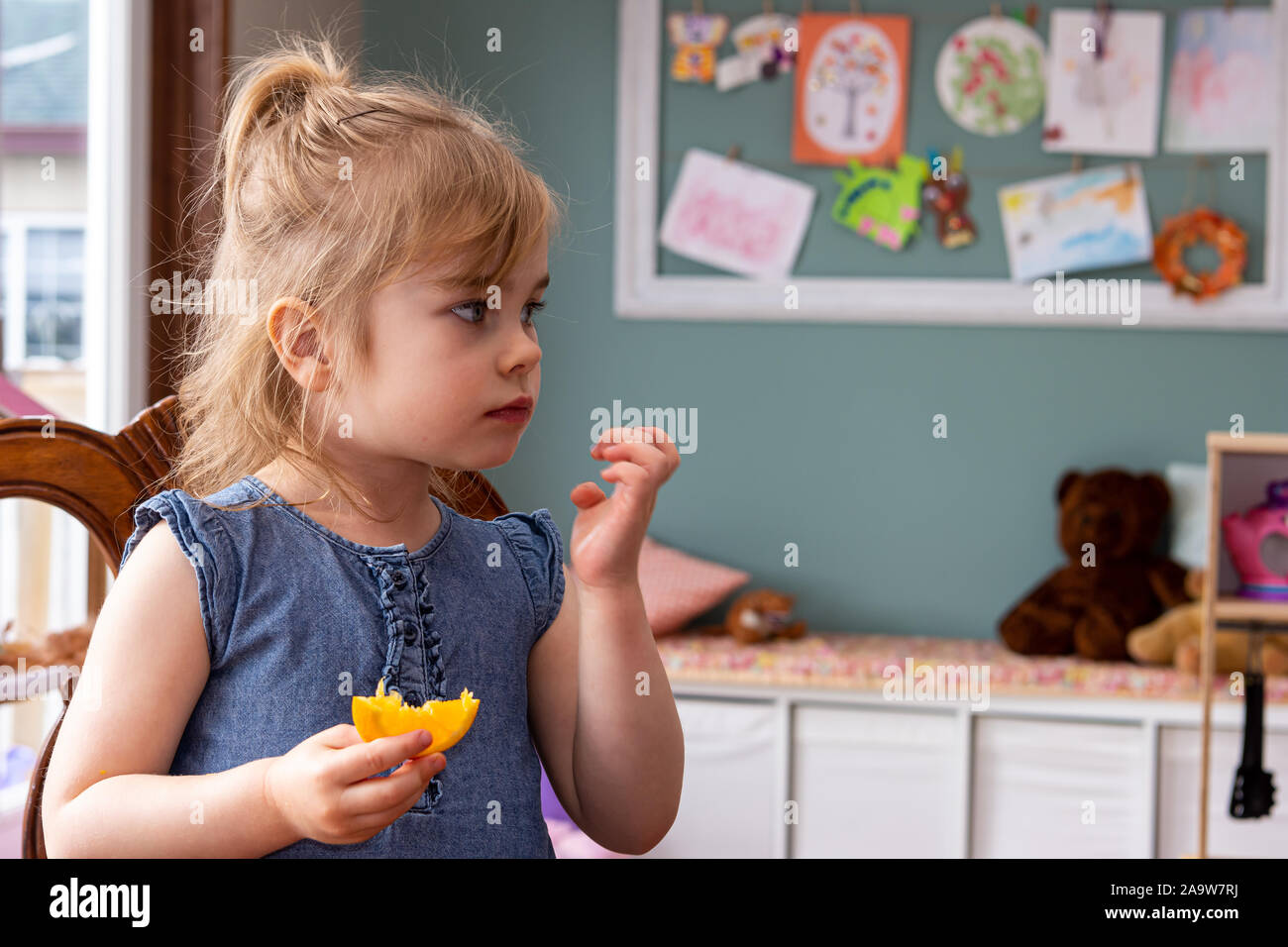 A pretty, young girl sitting at the kitchen table snacking on an orange. Stock Photo