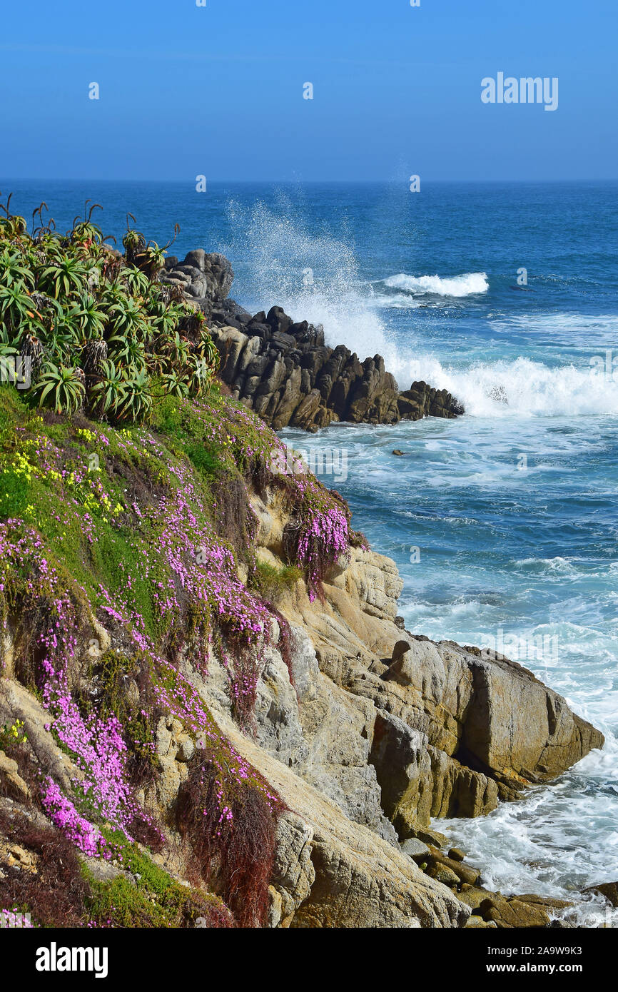Monterey, California Coast Stock Photo