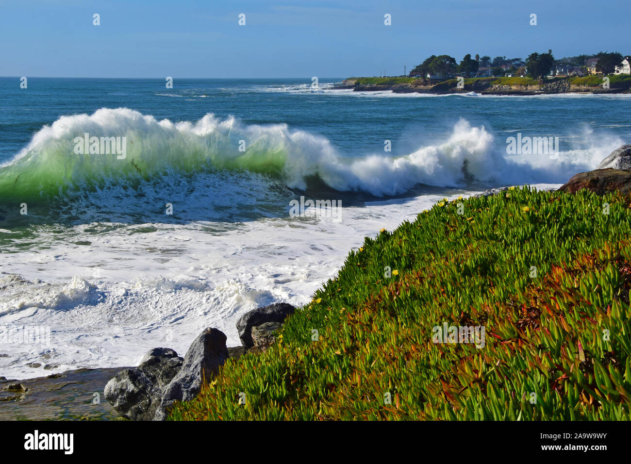 Santa Cruz Waves Stock Photo