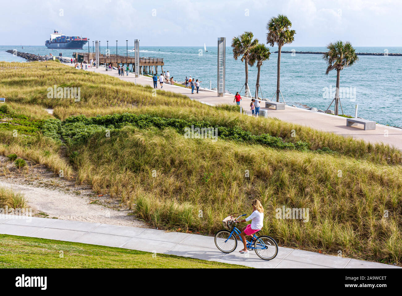 Miami Beach Floridasouth Pointe Parkpointgovernment Cutatlantic Ocean Water Cargo Container 6601