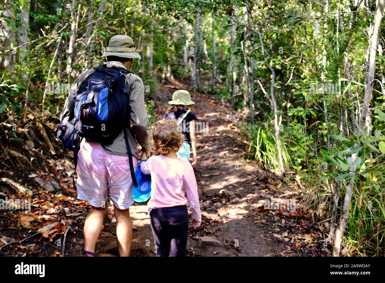 School age children walking on a forest path,  Honeyeater lookout hiking trail, Conway national park, Airlie Beach, Queensland, Australia Stock Photo