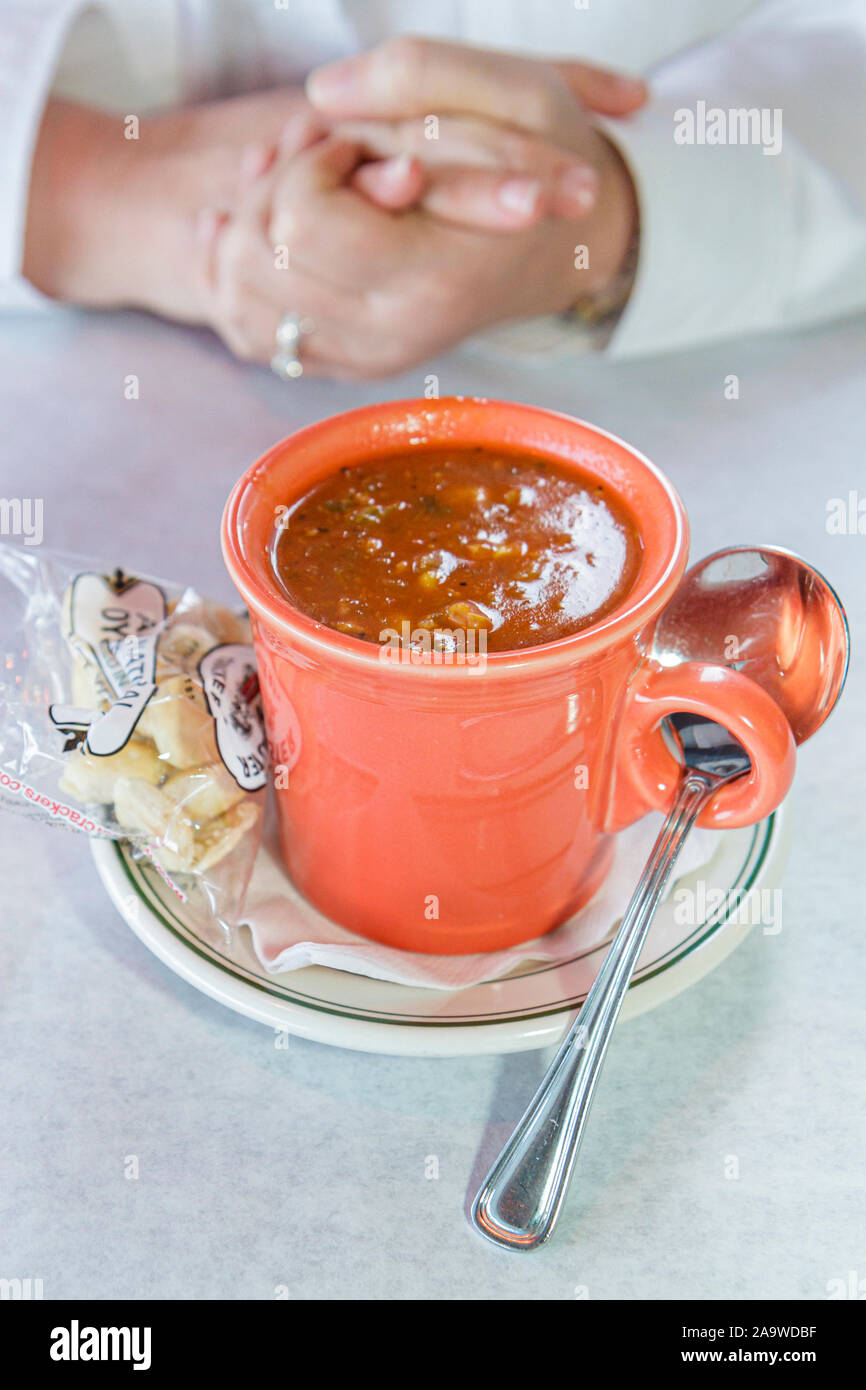 Fort Ft. Lauderdale Florida,Intracoastal Lauderdale Marina,15th Street