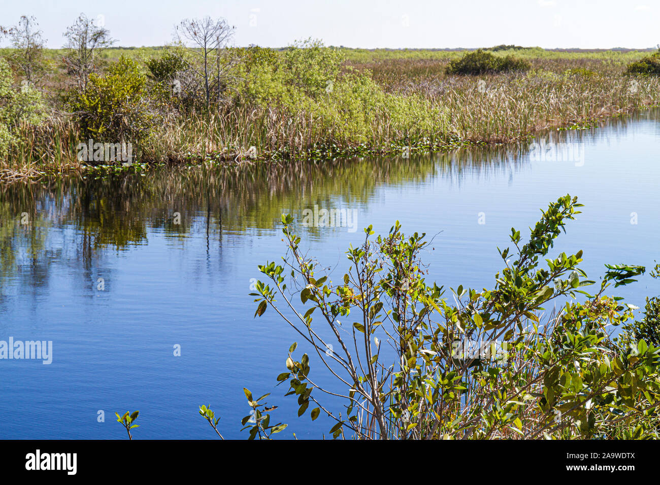 Florida The Everglades,US highway Route 41,Tamiami Trail,visitors travel traveling tour tourist tourism landmark landmarks culture cultural,vacation g Stock Photo