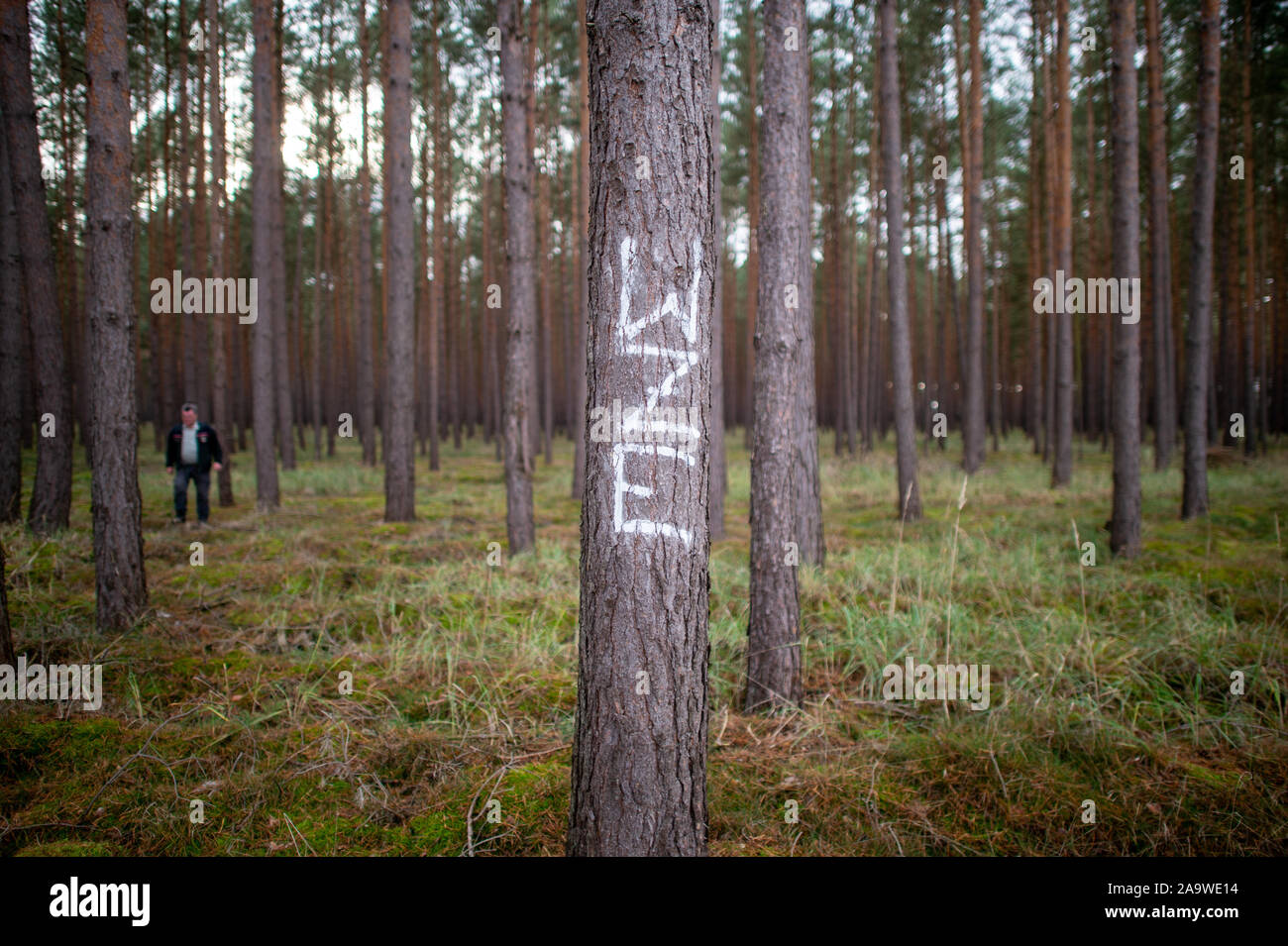 Wze hi-res stock photography and images - Alamy