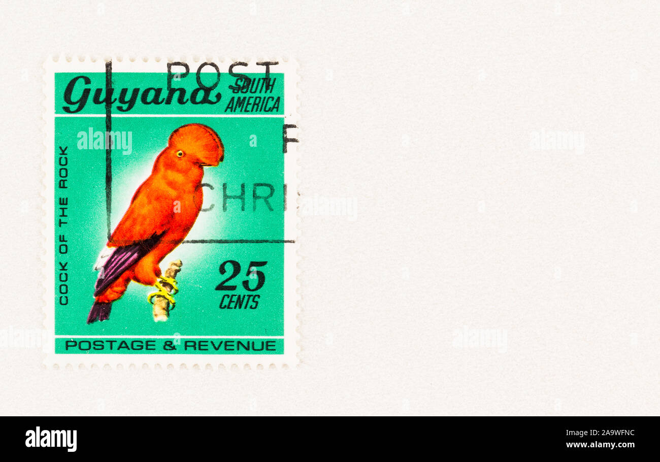 SEATTLE WASHINGTON - October 5, 2019: Cock of the Rock bird  on 25 cent Guyana postage stamp. Scott # 47 issued in 1968 Stock Photo