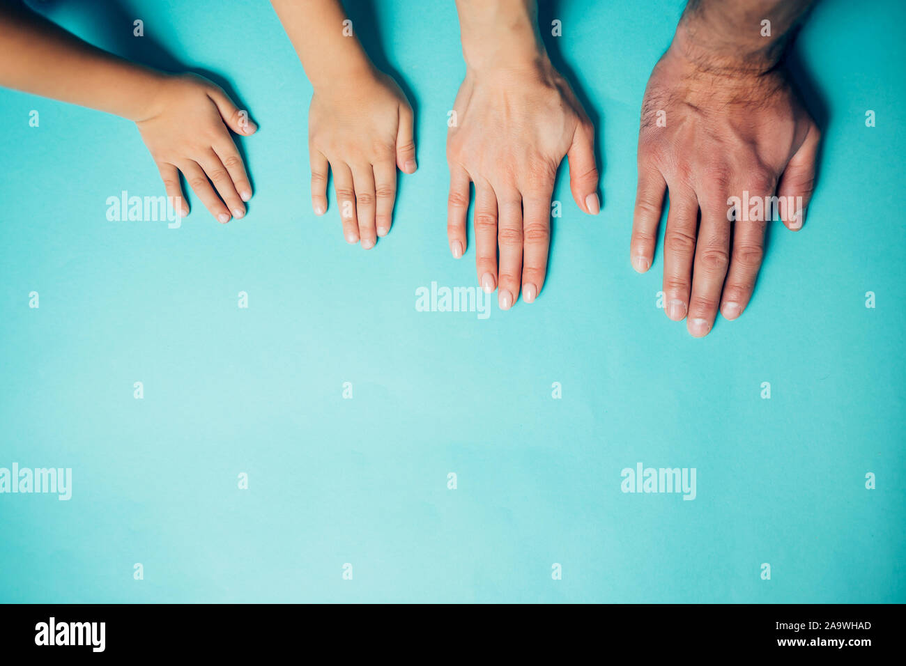 Hands of different sizes on a blue background. Men's, women's and ...