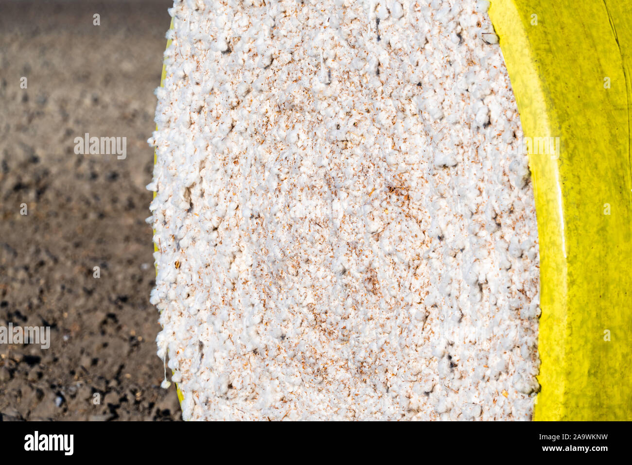 Close up of Cotton bale ready for pick up; Central California, United States Stock Photo